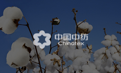 中國中紡