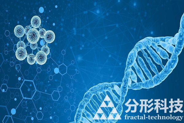 醫院網站建設的功能如何提升患者體驗